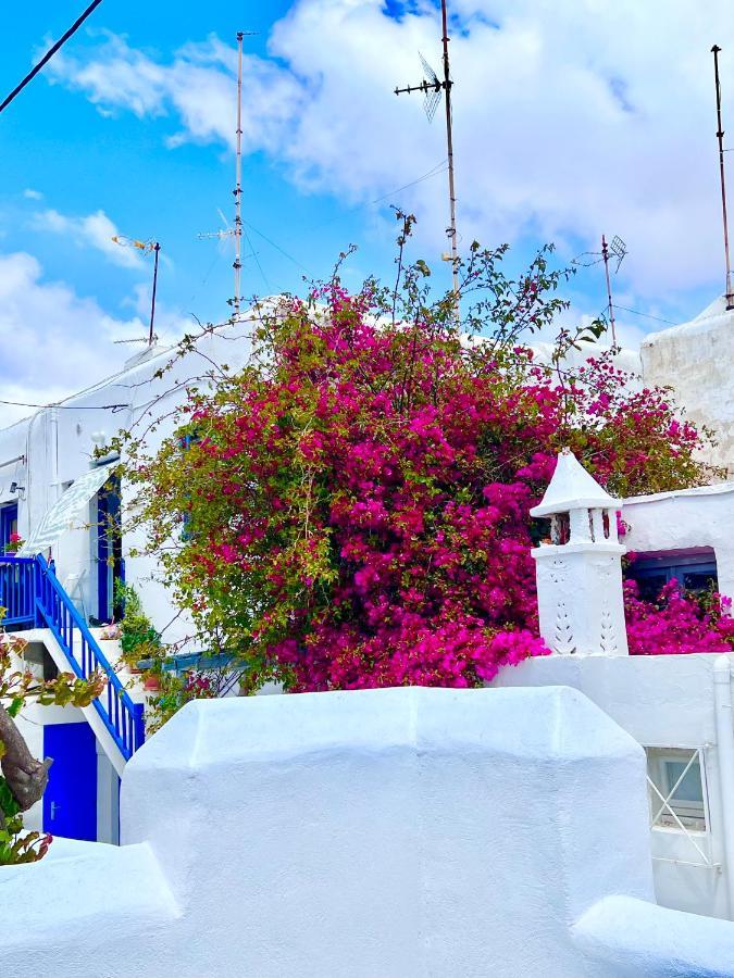Provis Rentals Suite Next To The Mills In Mykonos Town 外观 照片